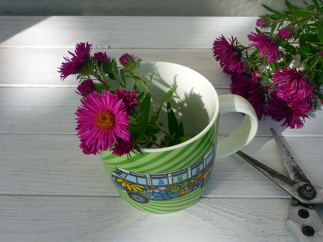 VOLKSWAGEN BUS VW T1 Combi Mug à café 370ml - Parade